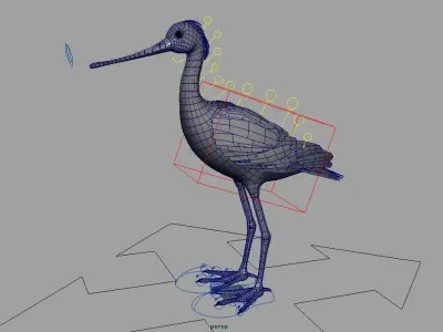 spoonbill stork with beak 3D model