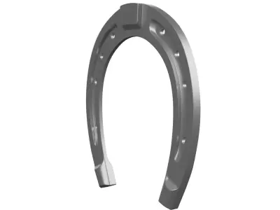 Horse Shoe 3D model