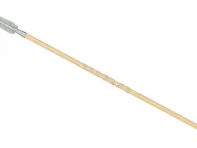 Spear with leaf shaped tip 3D model