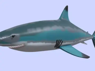 shark paint Free 3D model