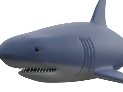 Shark 3D model buy