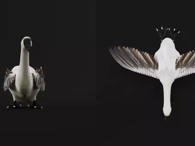 Domestic Goose Bird Free 3D model