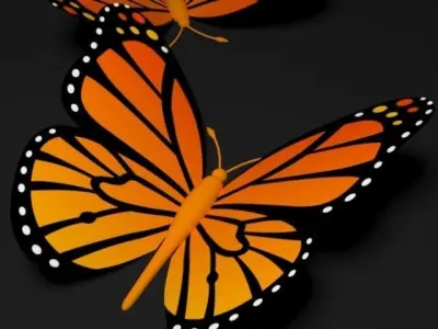 Butterfly 3D model 5