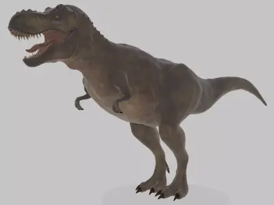 Tyrannosaurus Rex 3D Model 3D model