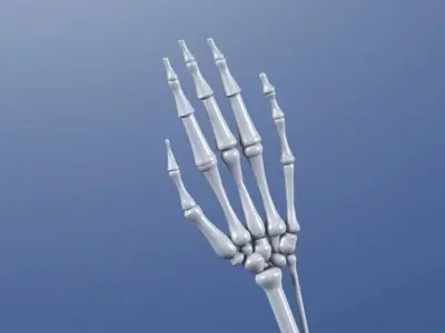 CGPdesign academySkeleton hand- design by Almir Covic Free 3D model