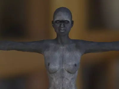karakter human body 3D model