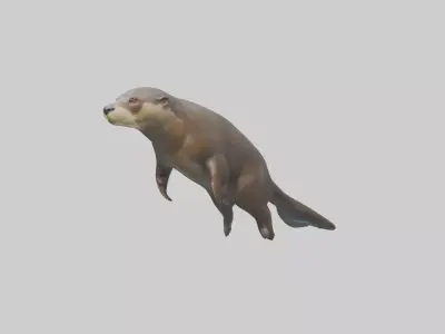 Giant Otter swimming model Low-poly 3D model