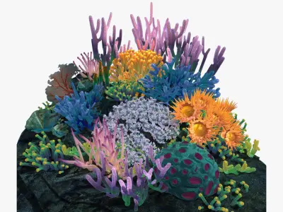 Coral reef 3D model purchase