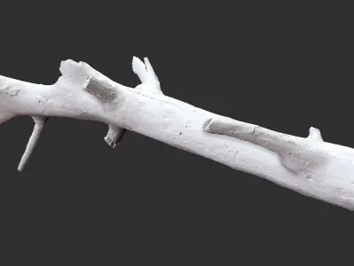 3d scan of tree trunk in highpoly 3D model by Shutters