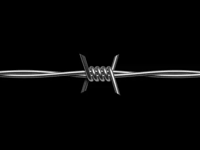 Barbed Wire 3D model buy