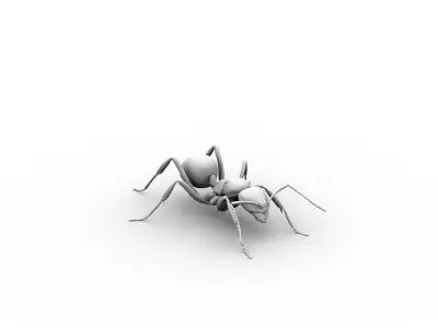 ant rig 3D model purchase