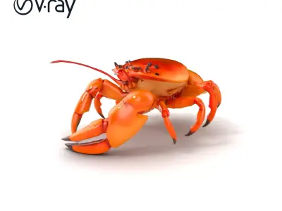 Kamchatka Crab Spiky Carapace Model Pack Low-poly 3D model