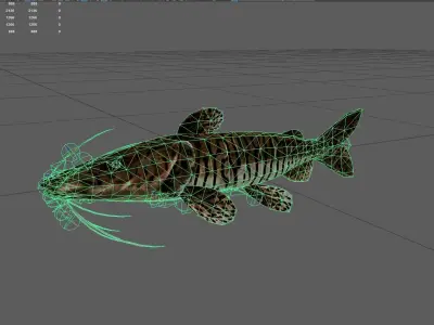 Catfish Low-poly 3D model shop