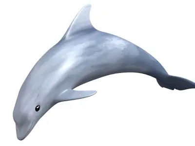 Dolphin Low-poly 3D model shop