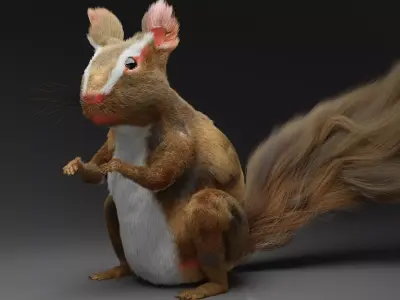 SQUIRREL Low-poly 3D model purchase