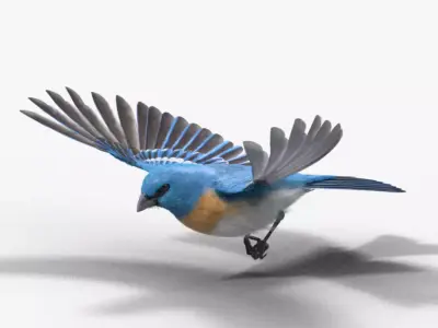 Lazuli Bunting Bird Animated VFX Grace 3D model
