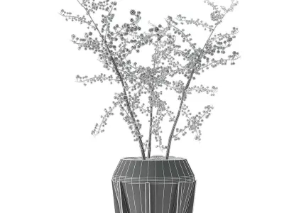 Plant in Pot Flowerpot Exotic Plant 3D model