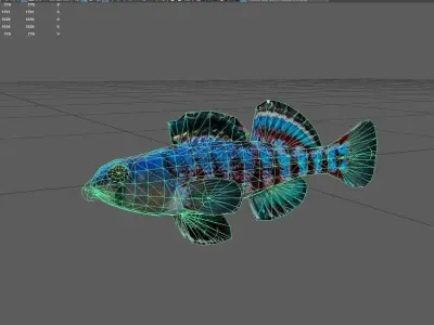 Darter Low-poly 3D model buy
