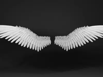 Angel Wings Version 2 3D model
