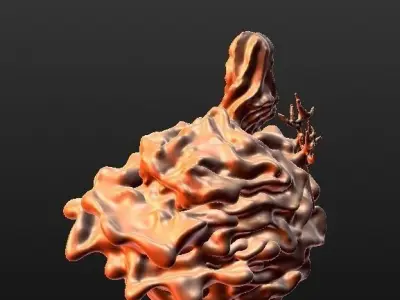 Coral Reef Free 3D print model