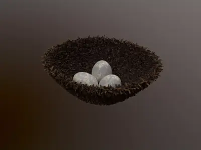 Bird nest 3D model buy