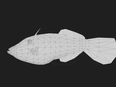 Filefish Low-poly 3D model