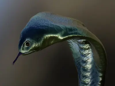 Cobra on Stand Free 3D model