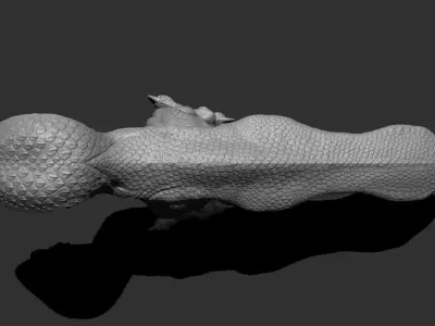 Galinideos Free 3D model