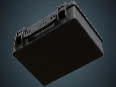Protective Case 1A Low-poly 3D model