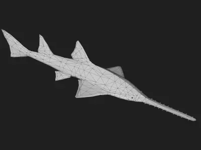Knifetoothsawfish Low-poly 3D model purchase
