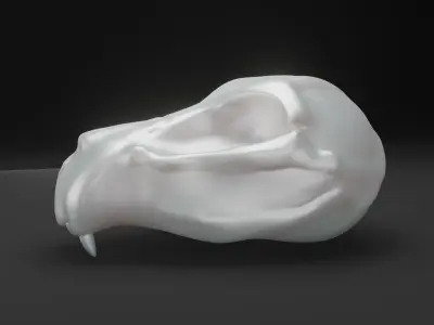 Animal skull - Panther 3D model