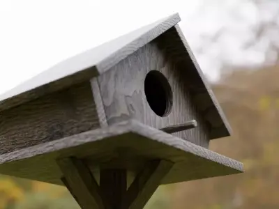 Bird Feeder Free low-poly 3D model