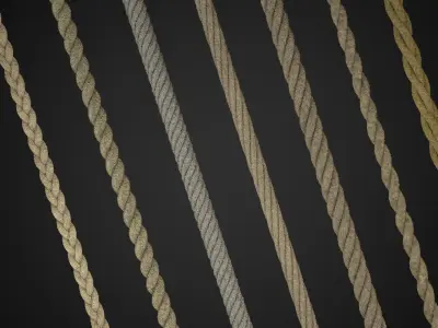 ropes and wire 3D model