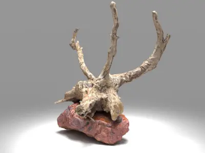 Decorative stone and plant 3D model