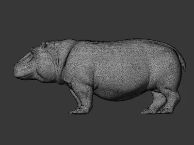 Hippo 3d scan print Low-poly 3D model