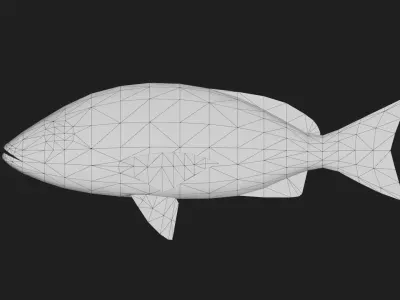Snapper Low-poly 3D model 10
