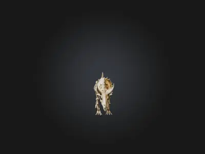Realistic Triceratops Skeleton Model Low-poly 3D model