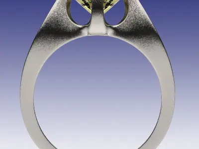Ring Fortune 3D print model
