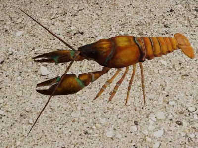 Crayfish Low-poly 3D model