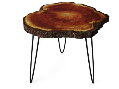 Tree Trunk Rustic Coffee Table 3D model