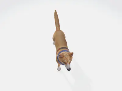A dog with a blue collar standing 3D model