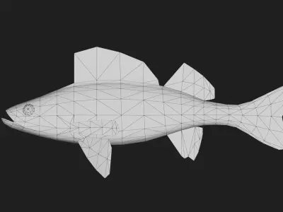 Panfish Low-poly 3D model 3