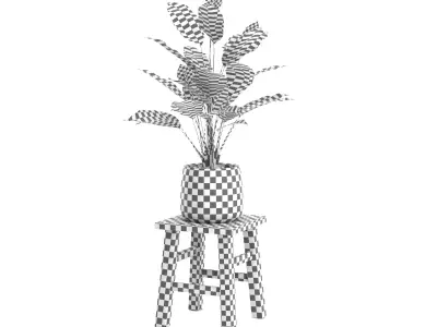 Peace Lily Free low-poly 3D model
