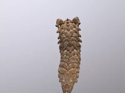 SandWorm SandMonster WormBoss Attack   3D model