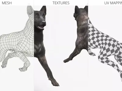 Agile Herding Dog Dutch Shepherd Running Fur 3D model purchase