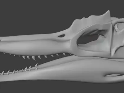 Spinosaurus skull 3d printable model Free 3D print model