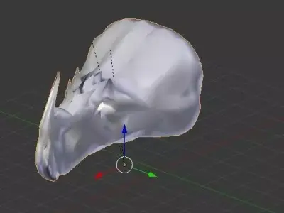 Neoceratopsia Like Dinosaur Triceratops like Dinosaur Second mdl Free 3D model