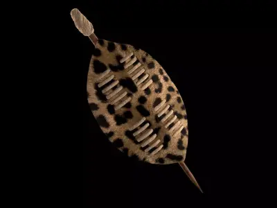 African Shield 3D model