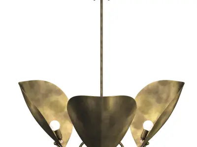 Chiton 3 Chandelier 3D model