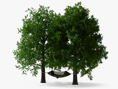 Camping Hammock with Mosquito Net Between Trees 3D model
